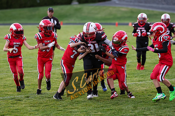 YW45_YV Rams_R3__0550.jpg
