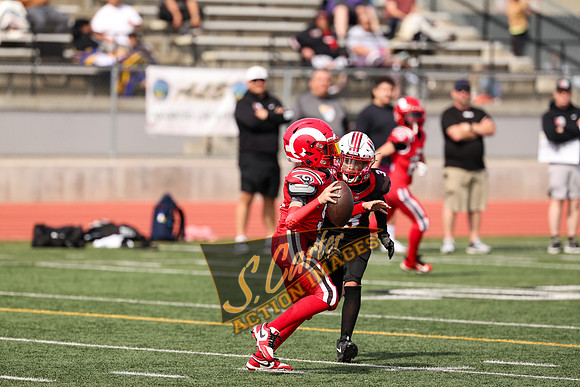 YW6_v_Rams_R3__0442.jpg