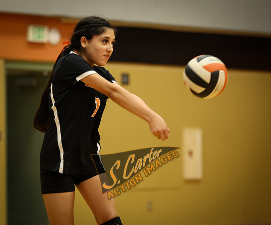 ZMSVB_GView_R3__0714.jpg
