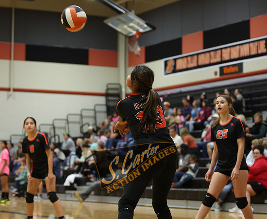 ZMS78VB_R3__0264.jpg