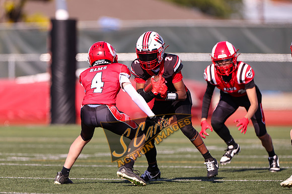 YW78_v_Rams_R32_0049.jpg