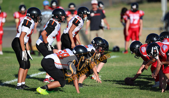 ZMSFB8_WV_R32_0615.jpg