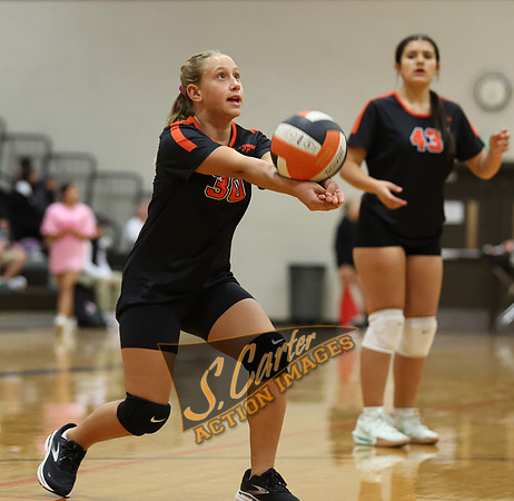 ZMS78VB_R3__0667.jpg