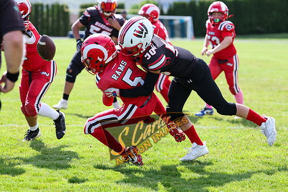 YW6_YV Rams_YW6_YV Rams_R3__0091.jpg