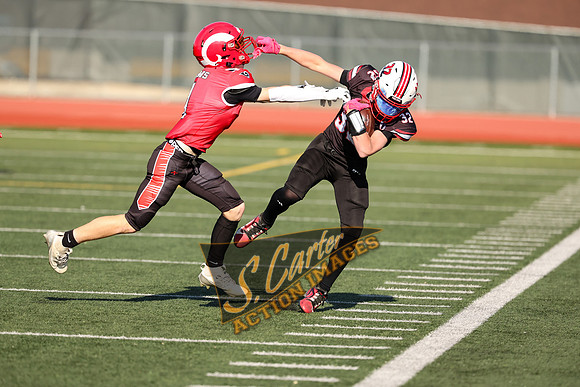 YW78_v_Rams_R3__0081.jpg