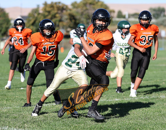 ZMS7FB_SV_R3__0044.jpg