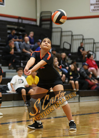 ZMS78VB_R3__0594.jpg