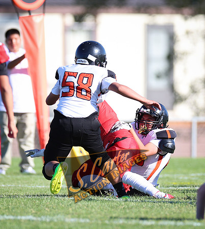 ZMSFB8_WV_R32_0220.jpg
