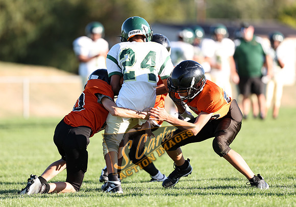 ZMS7FB_SV_R3__0265.jpg
