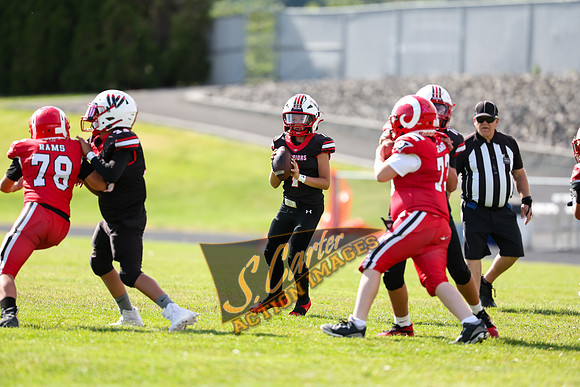 YW6_YV Rams_YW6_YV Rams_R3__0305.jpg