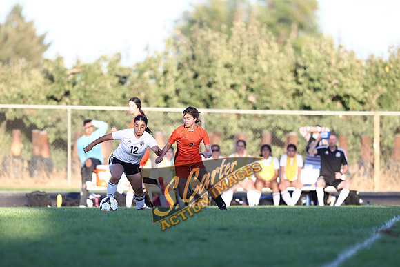 ZHSGS_Royal_IMG_0095.jpg