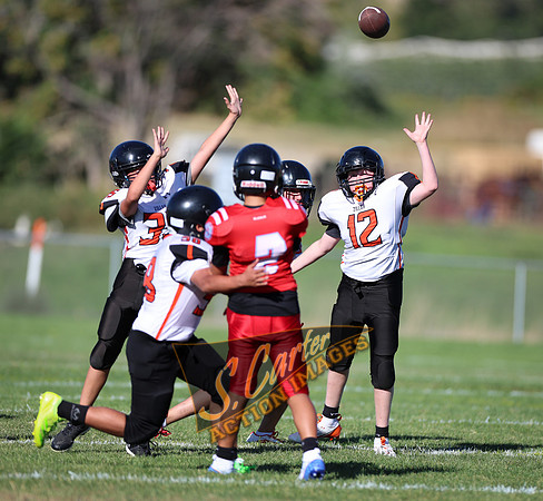 ZMSFB8_WV_R32_0004.jpg