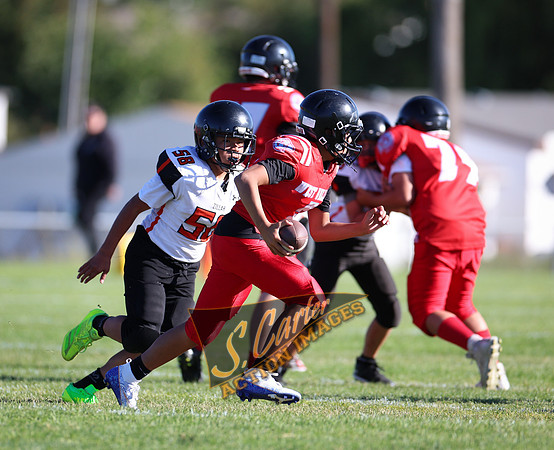 ZMSFB8_WV_R32_0085.jpg