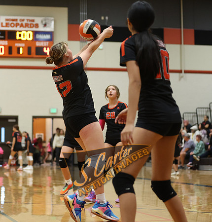 ZMS78VB_R3__0363.jpg
