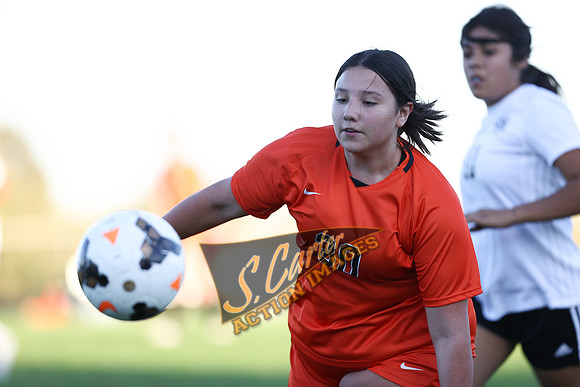 ZHSGS_Royal_IMG_0139.jpg