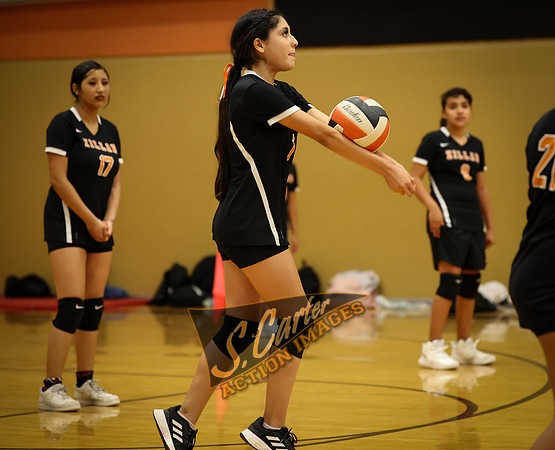 ZMSVB_GView_R3__0718.jpg