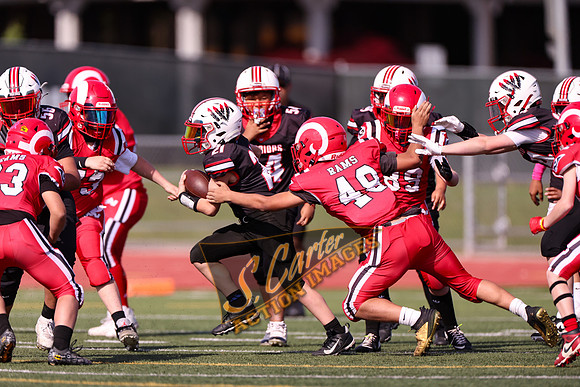 YW6_v_Rams_R32_0278.jpg