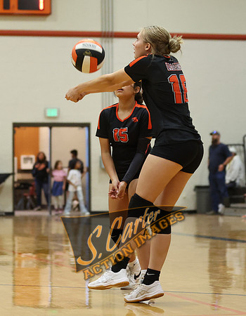 ZMS78VB_R3__0334.jpg